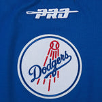 Load image into Gallery viewer, Pro Standard La Dodgers City Arch Tee - Dark Blue
