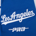 Load image into Gallery viewer, Pro Standard La Dodgers City Arch Tee - Dark Blue
